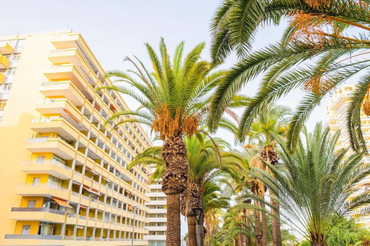 Live Puerto De La Cruz Las Palmeras ภายนอก รูปภาพ